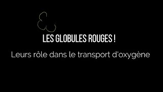 Les globules rouges et leurs rôle dans le transport doxygène [upl. by Stesha]