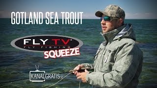 FLY TV Squeeze  Gotland Sea Trout [upl. by Weihs582]