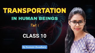 Transportation in human beings L1  Life processes class 10 science biology  Poonam Choudhary [upl. by Varuag632]