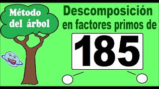 Descomposición en factores primos de 185 Descomponer 185 en factores primos con el método del árbol [upl. by Holtorf]