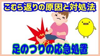 【足がつる理由】こむら返りの原因と対処法タイプ別3選【応急処置】 [upl. by Euqnom]