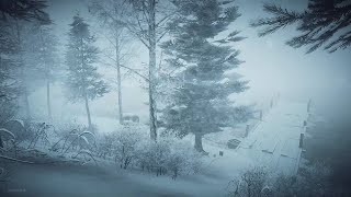 Intense Winter Storm at the Lake┇Howling Wind amp Blowing Snow ┇Sounds for Sleep Study amp Relaxation [upl. by Ahsoj]