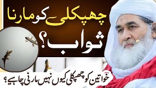 Islamic question answer Chipkali ko Marna Sawab  Maulana ilyas qadri Madni TV Urdu [upl. by Hamel]