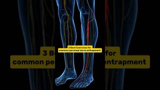 Best exercises for lower leg pain and numbnesscalf muscle paincommon peroneal nerve entrapment [upl. by Henigman511]