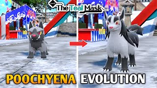 Poochyena Evolves Into Mightyena Animation In Pokemon Scarlet amp Violet DLC  The Teal Mask [upl. by Erde168]