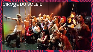 Zumanity Mannequin Challenge  by Cirque du Soleil  Cirque du Soleil [upl. by Priscilla]