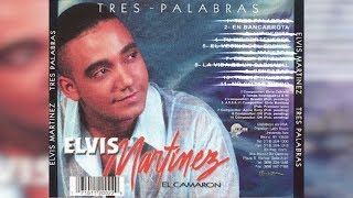 Elvis Martinez  En Bancarrota Audio Oficial álbum Musical Tres Palabras  2002 [upl. by Dao119]