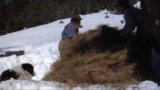 Heuziehen  Bergbauern im Pitztal [upl. by Koby]