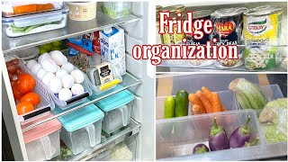 Best way to organize small fridgeFridge organisation 2022 [upl. by Ynnus425]