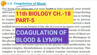 Class 11 BiologyCh18 Part5Coagulation of blood amp lymphStudy with Farru [upl. by Calloway]