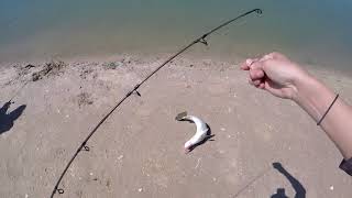 Barra Fishing at Lorella Springs [upl. by Ariem144]