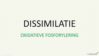 Dissimilatie  oxidatieve fosforylering [upl. by Leis89]