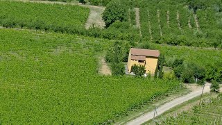 Agriturismo Nobile Montepulciano Italy [upl. by Sucam802]