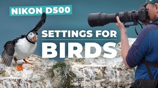 How to Set Up the Nikon D500 for Bird Photography [upl. by Mccully261]