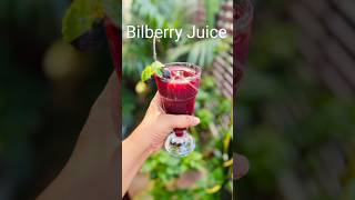 Bilberry juice recipe healty juicelover fyp shorts 🍹🍹 [upl. by Lateh]