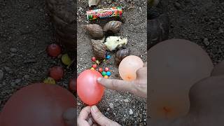 Meletus balon hijau dor🎈🐌🐌🐌 🐌balon balonkarakter meletusbalonhijau snail permen balonkuadalima [upl. by Dante]