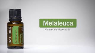 doTERRA Melaleuca Oil [upl. by Ameehsat]