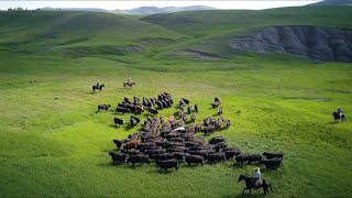 Perspectives on Pastoralism Film Festival 2nd edition  Official Trailer HD [upl. by Koller]