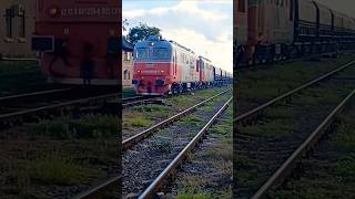 Tren CFR MARFĂ cu Cărbune tren cfrmarfa coal train cargo marfar locomotive shorts ldegmcfr [upl. by Euqenimod236]