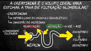 Por quê usamos a creatinina para calcular a função renal [upl. by Annais916]