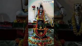 har har mahadev❤️🙏 Shiv tandav mahadev [upl. by Etka]