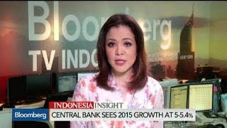 Why Is Indonesia One of the Fastest Growing Economies in the World 🇮🇩 [upl. by Nottnerb]