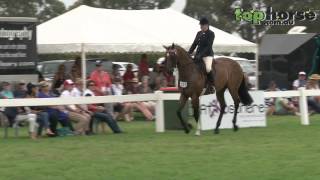 Horse of the Year  Barastoc 2014 [upl. by Rollecnahc]