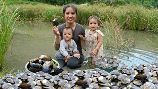 How to harvest giant oysters to sell at the market  cook oyster porridge for your children to eat [upl. by Babette379]