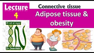 Adipose tissue and obesity [upl. by Nikki660]