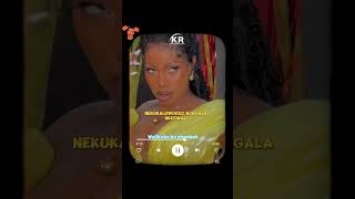 Wakikuba by sheebah lyrics trending music video [upl. by Assylem]