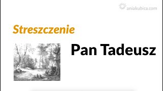 Pan Tadeusz  streszczenie [upl. by Kristos]