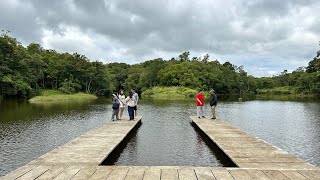 D Farm Sobrang ganda Hidden Paradise Privately owned Rainforest Lakes Coconut plantation [upl. by Hernandez446]