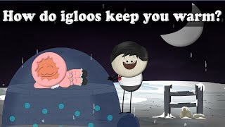 How do igloos keep you warm  aumsum kids science education children [upl. by Onurb]