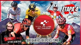 🔴EN VIVO Etapa 4 MONTAÑA 🔥TOUR DE SUIZA  CARAPAZ EGAN BERNAL DEL TORO RUBIO cycling [upl. by Winthorpe]