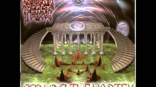 Sabbatic Feast  Scaling The Vortex 1999 Full Album LTFB Records [upl. by Prisilla914]