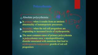 pathology  dr Tahseen  Polycythemia  Primary VS Secondary [upl. by Atinav877]