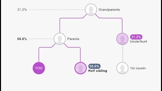 Newest MyHeritage DNA Tool is NOT Something to Miss [upl. by Llerdnam951]