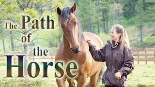 The Path of the Horse  Full Length documentary [upl. by Krahling100]