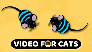 CAT GAMES  Mouse Mice Video For Cats  CAT amp DOG TV  1 Hour [upl. by Lebar267]