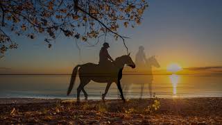 Herbst 2018 Insel Usedom [upl. by Anaylil679]