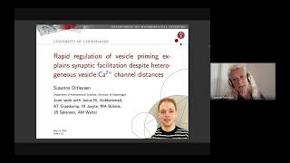 Rapid regulation of vesicle priming explains synaptic facilitation despite heterogeneous vesicle Ca2 [upl. by Kaufmann]