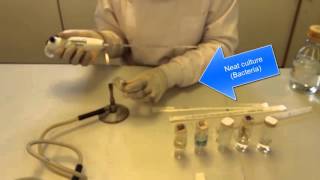 Serial Dilutions and CFU counts in Microbiology [upl. by Saville]