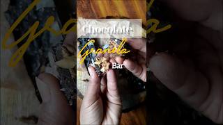 Chocolate garnola bars totally healthy SHORTS [upl. by Eannej]