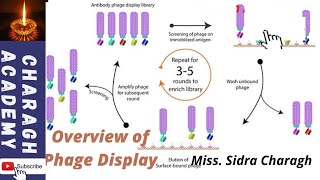 Phage Display  an overview  How does phage display technology work✍✍ [upl. by Beale]