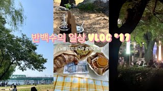 반백수의 일상 브이로그17✨ 노들섬 피크닉과 중앙대 축제🔥 브이로그 vlog 데일리 일상 노들섬 피크닉 대학축제 축제 [upl. by Gerge]