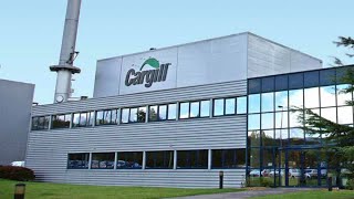 WSRCA Jobs Now Employer Spotlight Cargill [upl. by Namialus258]