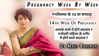 14th Week Of Pregnancy  गर्भावस्था का 14वा सप्ताह  गर्भावस्था सप्ताह दर सप्ताह  Dr Malti Bhojwani [upl. by Ziguard]