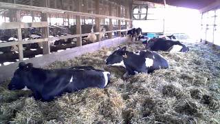 The 5 Minute Tour of Hastings Dairy [upl. by Atila]