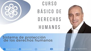 Sistemas de protección de los derechos humanos [upl. by Coralyn]