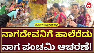 Naga Panchami Celebration In Bidar  ಬೀದರಿನಲ್ಲಿ ನಾಗಪಂಚಮಿ ಸಂಭ್ರಮ ನಾಗಪ್ಪನಿಗೆ ಹಾಲೆರೆದ ಮಹಿಳೆಯರು [upl. by Doersten]